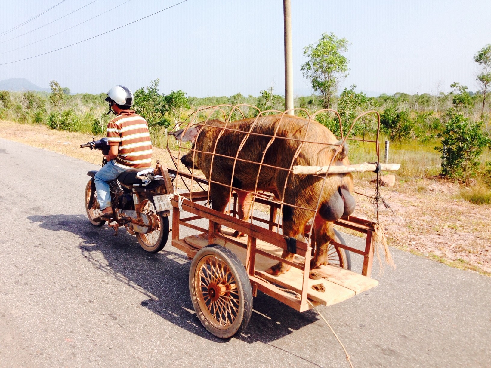 Vietnam
